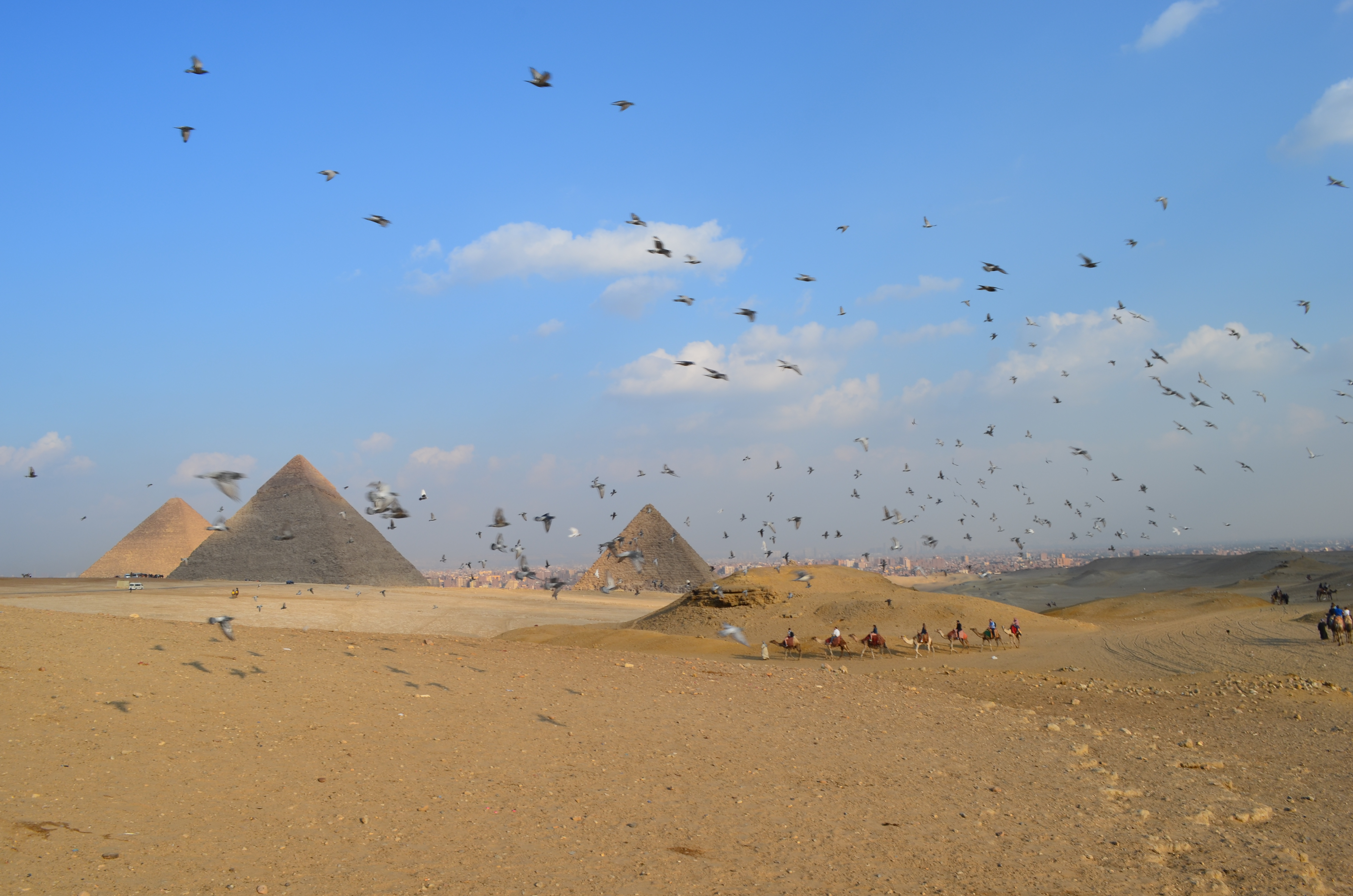 ./2018/16 - Egypt/03 - Pyramids/DSC_0259.JPG